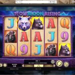 Napoleon and you may Josephine Demo Play Slot Game one hundred% Totally free