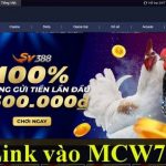 Chơi hơn 19.000 trò chơi đánh bạc trực tuyến Không cần cài đặt